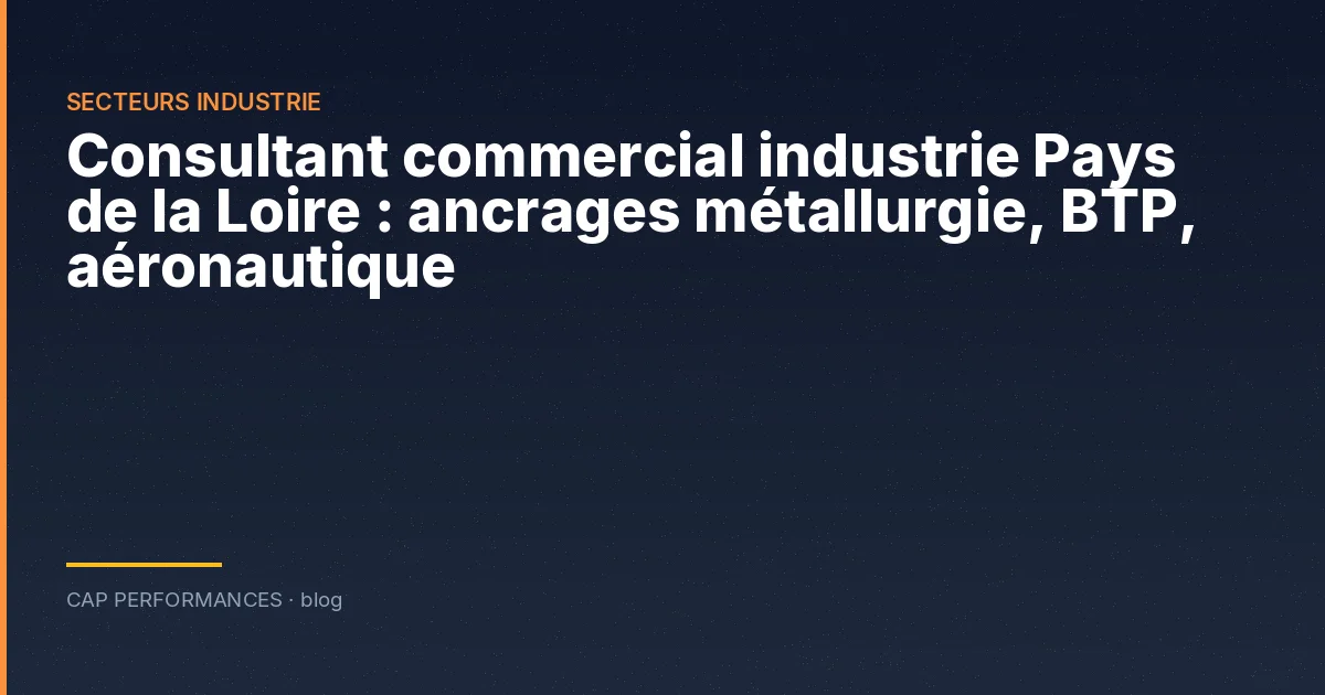 Consultant commercial industrie Loire