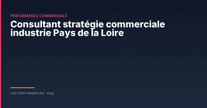Consultant stratégie commerciale industrie