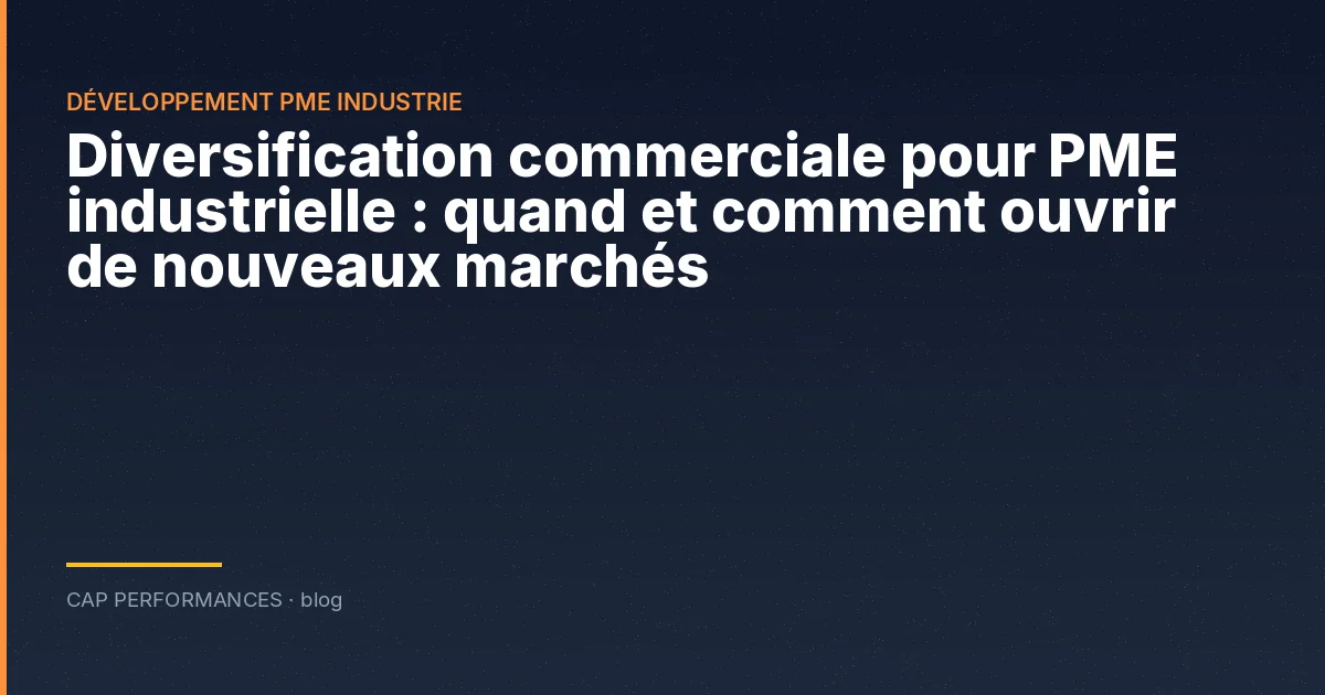 Diversification commerciale PME industrie